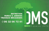 Damien Multi Service - Luë